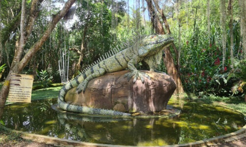 An intriguing image of the captivating iguana statue, a celebrated landmark at Parque Natural El Gallineral, set against the lush backdrop of the park.