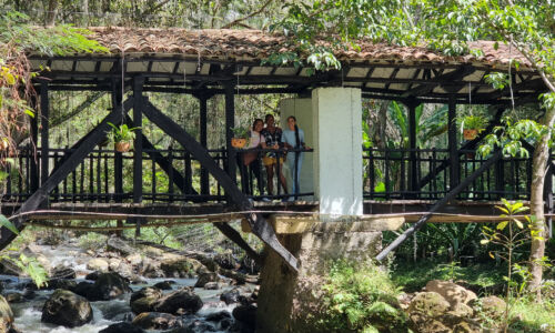 An inspiring image of diverse families meeting and creating precious memories on the Bridge of Love, surrounded by verdant greenery and a serene river.